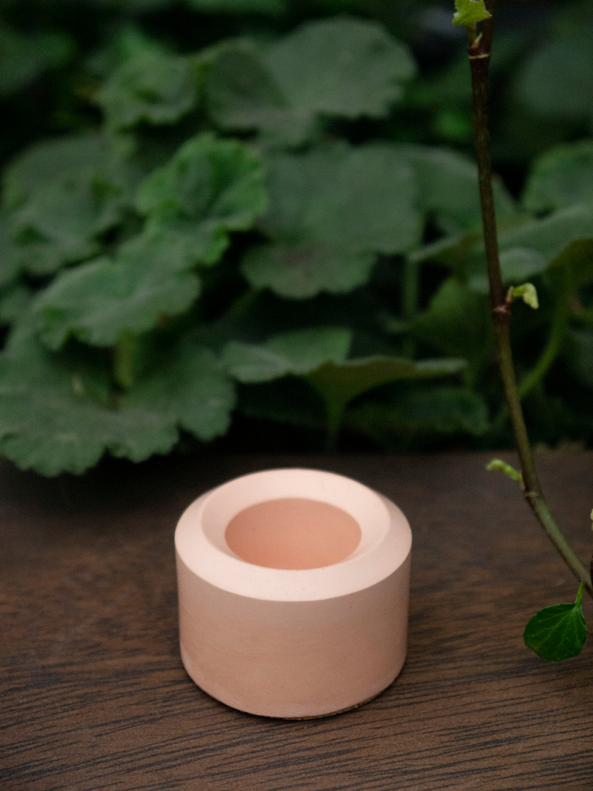Palo Santo Holders